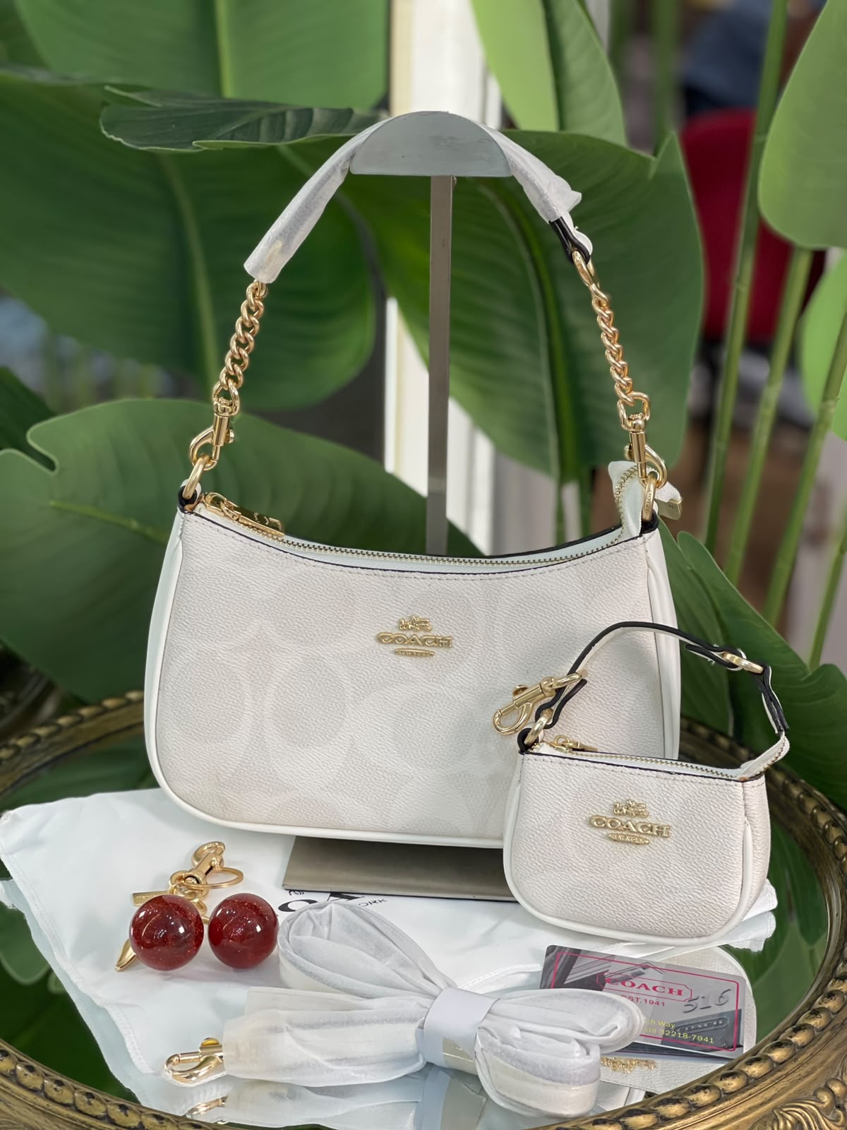 COA-4186